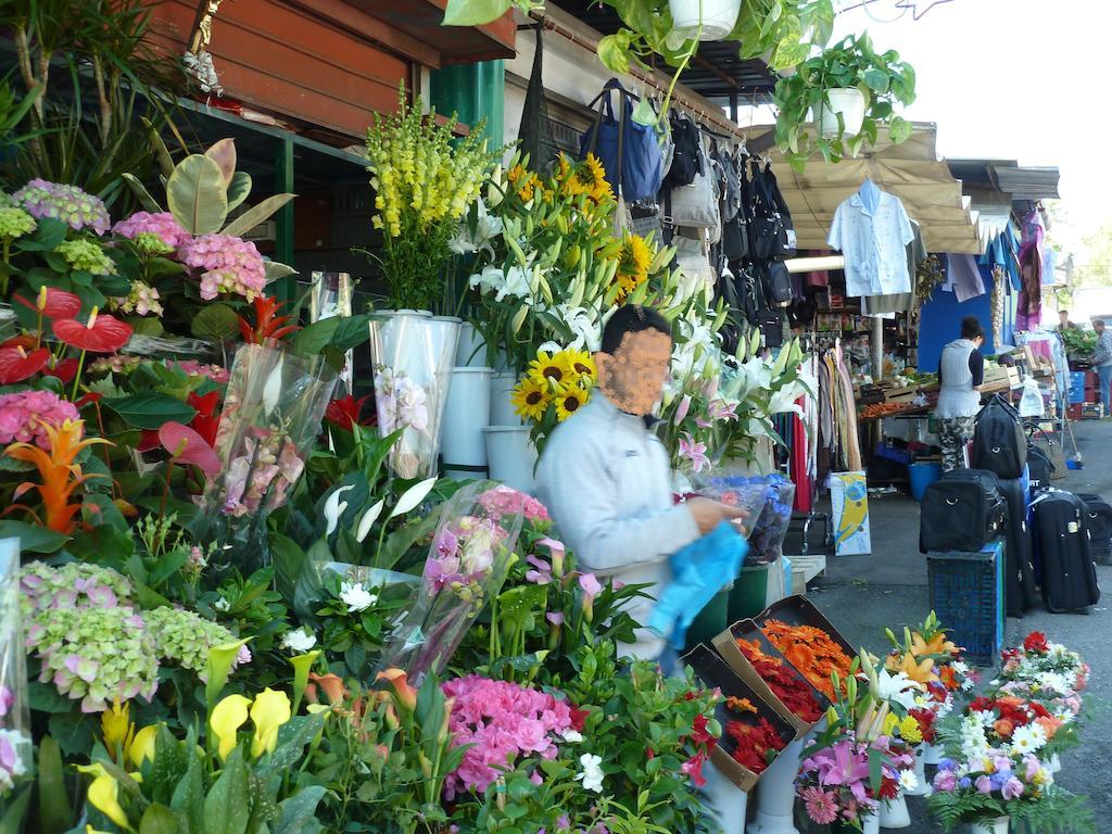 Stesi Vacanze โรม ภายนอก รูปภาพ